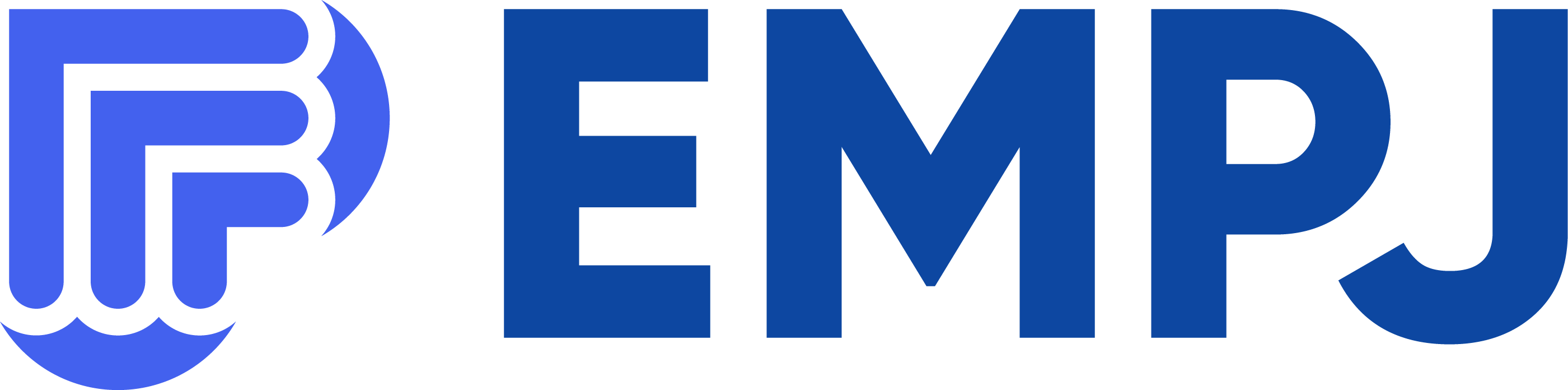 EMPJ Consultoria e Serviços